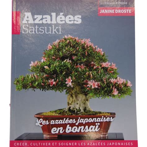 Un bonsaï Satsuki en pleine floraison printanière