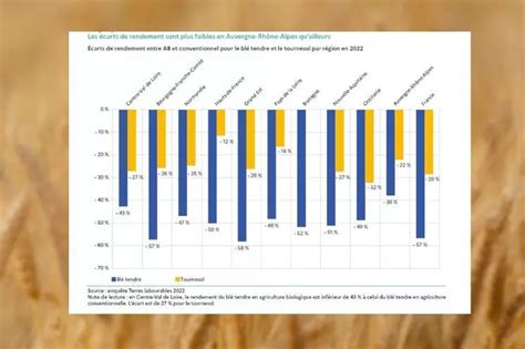 Diagramme comparatif des rendements entre buttage traditionnel et culture sous paillis