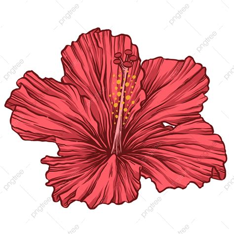 une illustration artistique d'une fleur d'hibiscus lumineuse et détaillée sur fond neutre