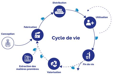 schéma symbolique montrant le cycle de vie de l'hibiscus et ses significations culturelles