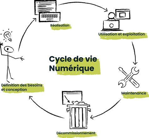 Schéma illustrant le cycle de vie d'un bulbe forcé par rapport à une culture naturelle