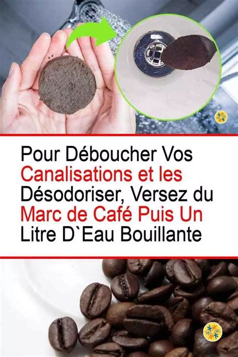 Schéma illustrant les bienfaits du marc de café sur l'épiderme : exfoliation, stimulation sanguine et antioxydants