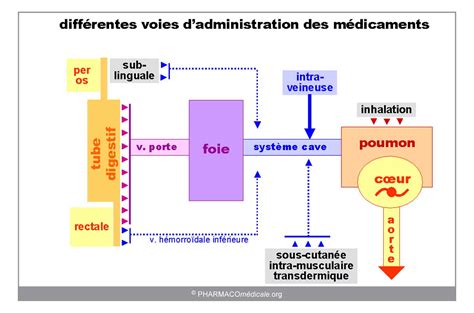 schéma explicatif du mode d'administration des granules homéopathiques