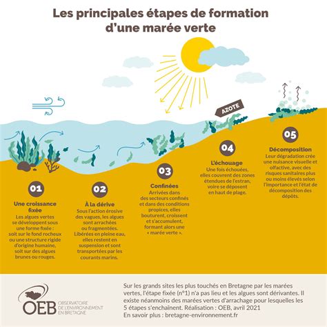 Schéma illustrant la structure administrative de la gestion des algues en Bretagne
