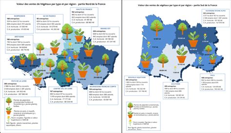 Infographie comparant les surfaces de production horticole en France