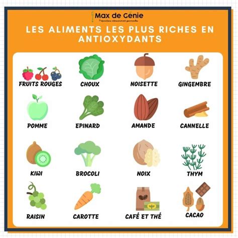 Schéma des bienfaits antioxydants de l'hibiscus