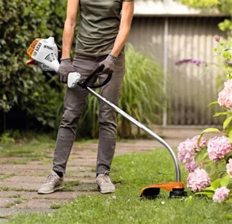 Vue d'ensemble du coupe-bordure Stihl FS 38 dans un jardin
