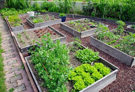 Types de carrés potagers