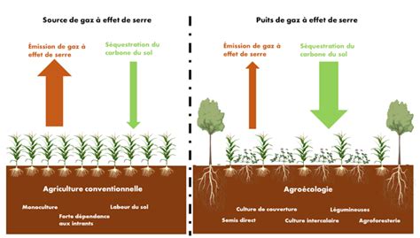 Infographie sur les effets du labour sur la structure du sol