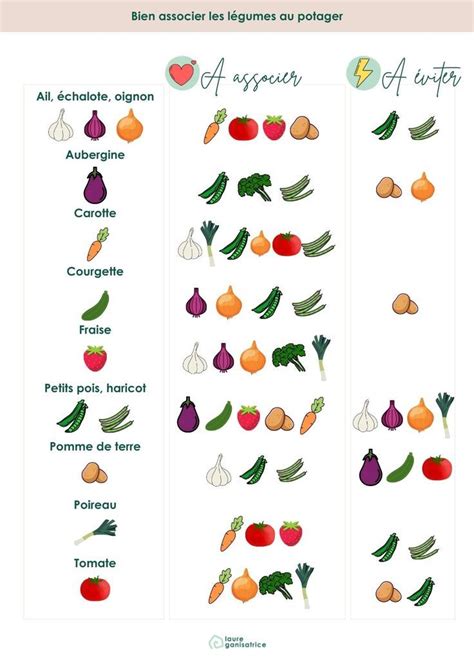 Plan du potager avec associations de légumes