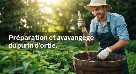 Préparation de purin d'ortie