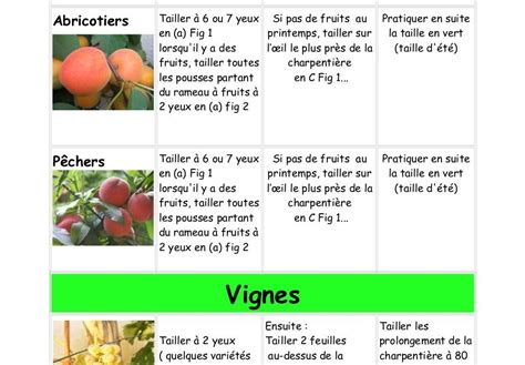 Tableau récapitulatif des périodes de taille par espèce (Pommier, Poirier, Cerisier, Prunier, Pêcher, Abricotier)