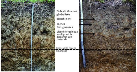 Comparaison entre sol tassé et sol structuré