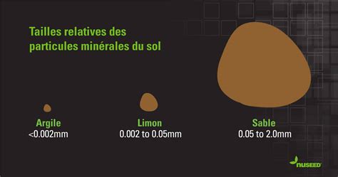 Schéma comparatif des tailles des particules du sol (argile, limon, sable)