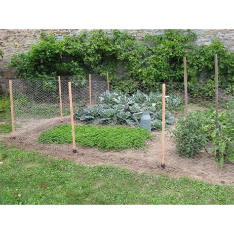 potager avec clôture de protection
