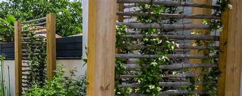 ganivelle et plantes grimpantes