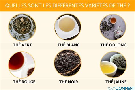 Différents types de feuilles de thé vert
