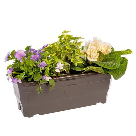 Jardinière printanière et estivale colorée