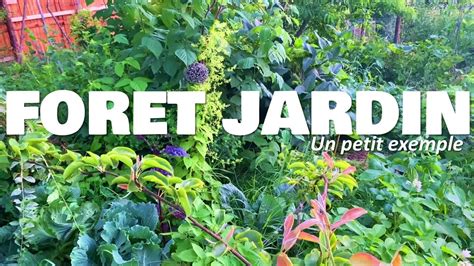 Exemple de forêt-jardin