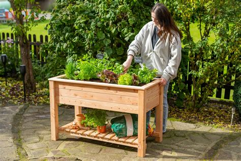 Personne âgée jardinant dans un carré potager surélevé