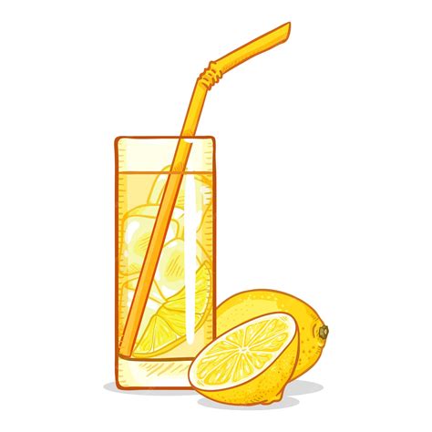 Un verre de limonade forestière avec des branchettes d'épicéa
