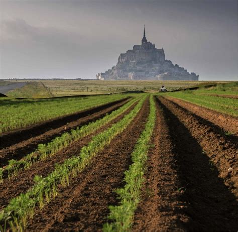 Vue panoramique des terres maraîchères dans la Baie du Mont-Saint-Michel