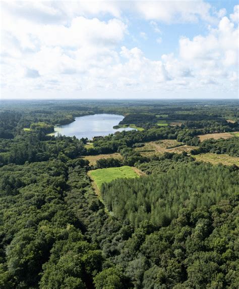 Vue aérienne de la Sologne avec forêt et étangs