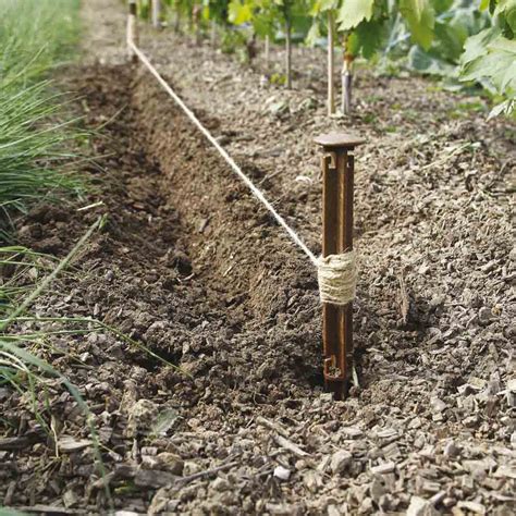 Cordeau de jardinage tendu entre deux piquets