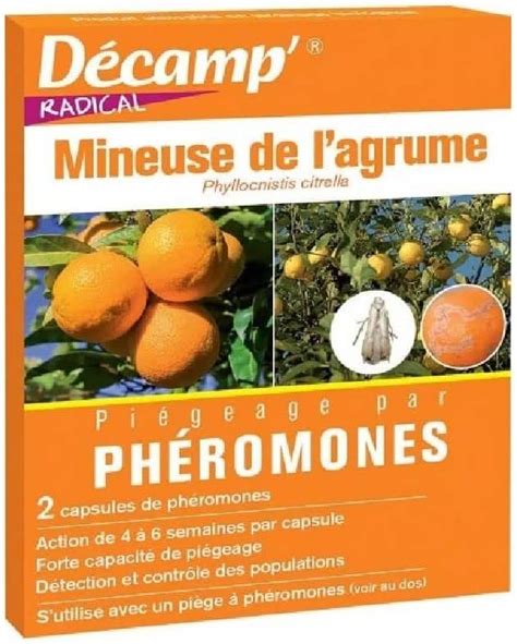Piège à phéromones contre la mineuse des agrumes