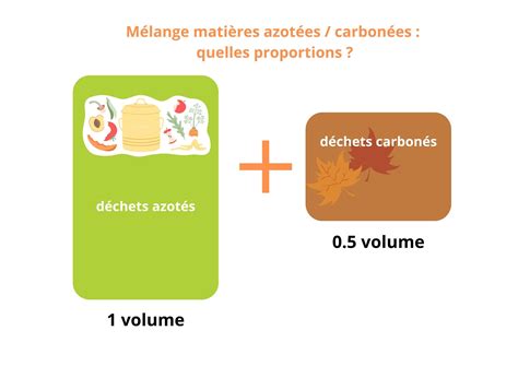 Infographie comparative des matières 