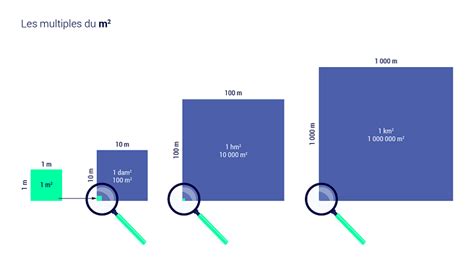 Graphique comparatif des rendements par mètre carré pour les légumes racines