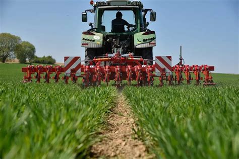 Infographie comparant les méthodes de désherbage mécanique et chimique en milieu agricole.