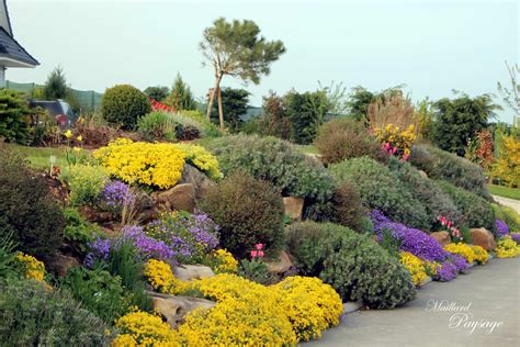 détail d'un couvre-sol fleurissant en rocaille