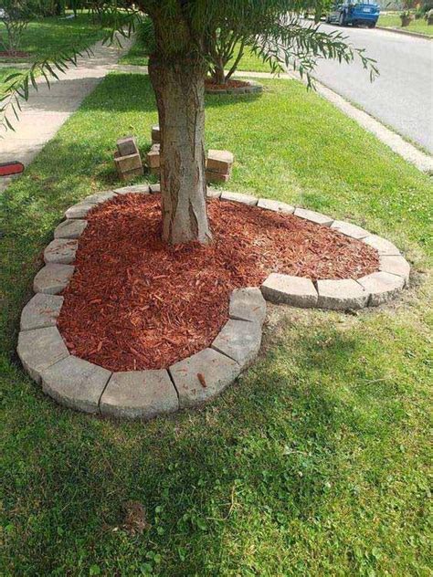 Exemple de bordure flexible utilisée pour créer un contour circulaire autour d'un arbre