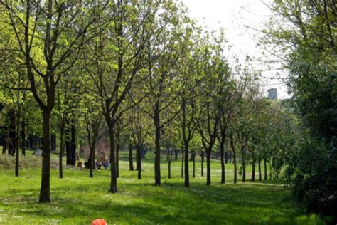 Vue sur le parc boisé du Quai Fleuri