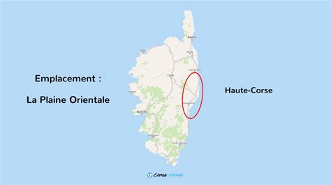 Carte de la plaine orientale en Corse mettant en évidence les vergers d'agrumes autour d'Aléria
