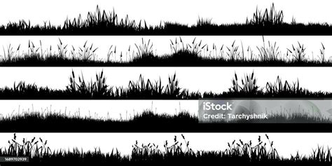 Illustration de diverses mauvaises herbes ligneuses dans un paysage agricole