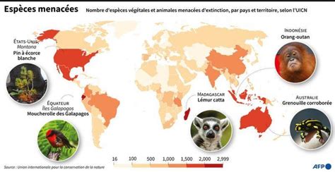 Infographie des espèces végétales et animales emblématiques de la forêt de Bondy