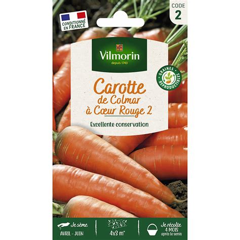 Champ de carottes de Colmar à Cœur Rouge 2 en fin de croissance