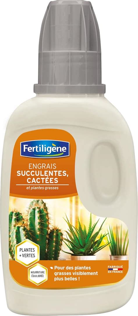Engrais pour cactus et succulentes