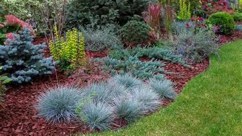 Aménagement de jardin sec avec des alliums, des graminées et des plantes succulentes