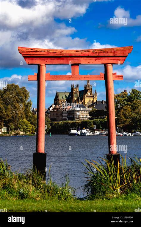 Bonsaï exposé avec un torii en arrière-plan
