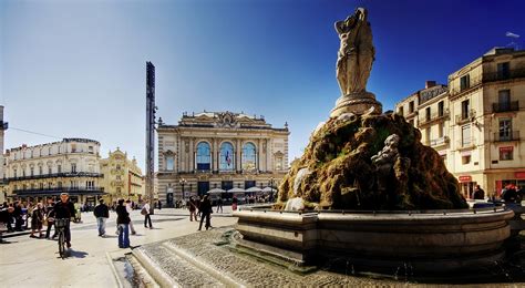 Verger ensoleillé près de Montpellier avec des cueilleurs