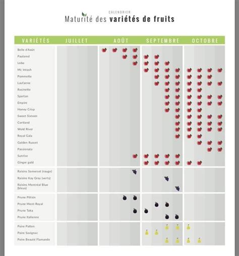 Schéma illustrant le calendrier de maturité des différents fruits du verger de mi-août à fin octobre