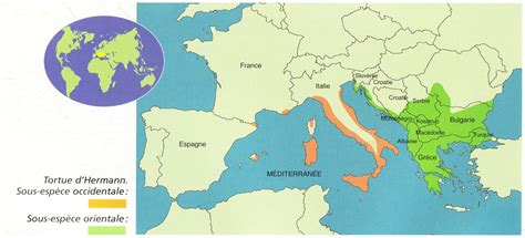 Répartition géographique et habitat naturel de la tortue d'Hermann