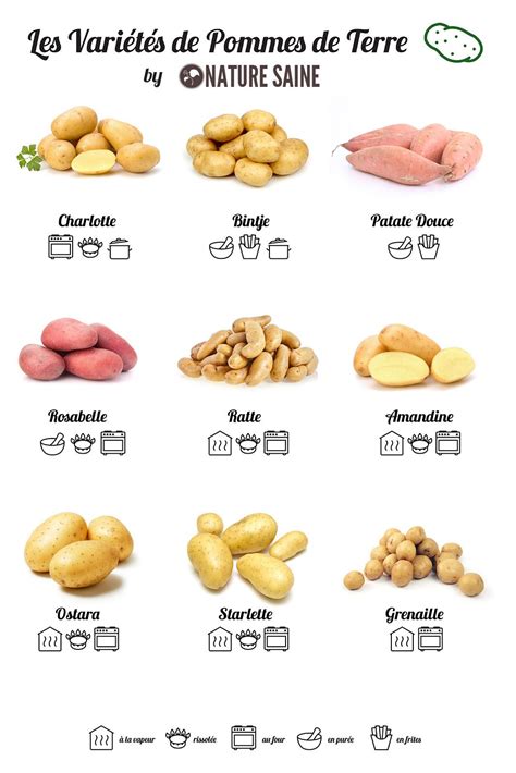 Infographie présentant différentes variétés de pommes de terre avec leurs caractéristiques