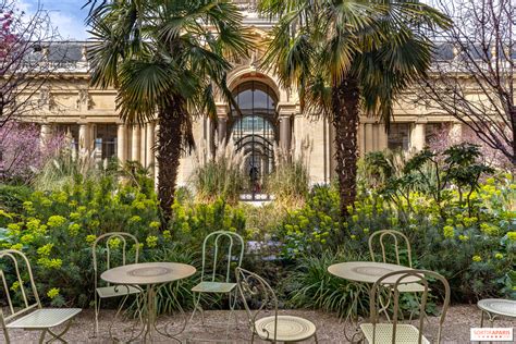 Détail de la végétation dans le jardin de l'hôtel, illustrant la sérénité du lieu