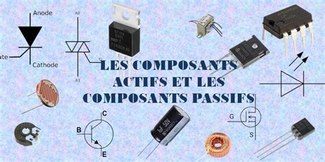 Infographie sur les composants actifs de l'hibiscus