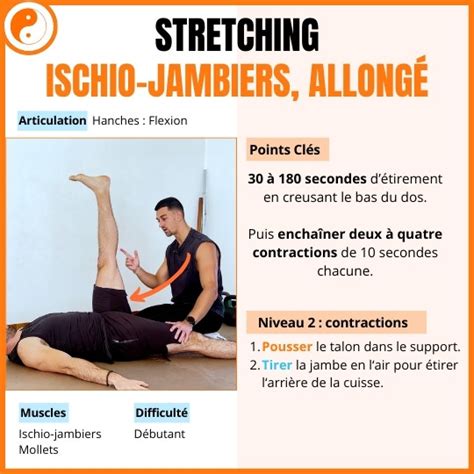 Infographie montrant trois étirements simples pour les ischio-jambiers et le bas du dos après le jardinage