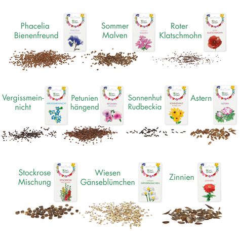 Graines de fleurs d'hibiscus et processus d'extraction artisanale